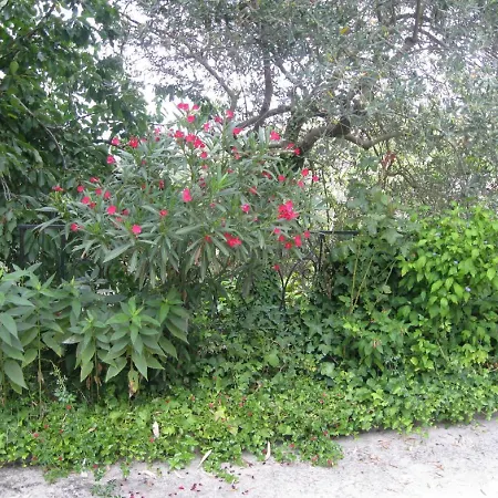 Casa Vacanze Le Castagnelle Copersito